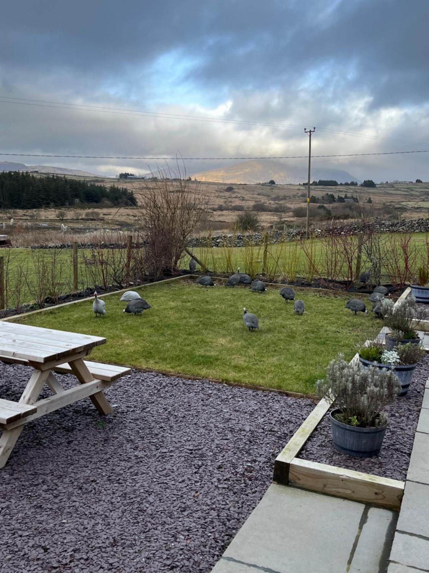 Villa Hedd Wen à Llanllyfni Extérieur photo